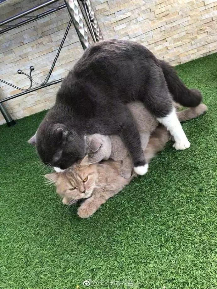 男子门口入室抢劫监控拍下全过程,小伙入室抢劫却遇到更可怕的东西