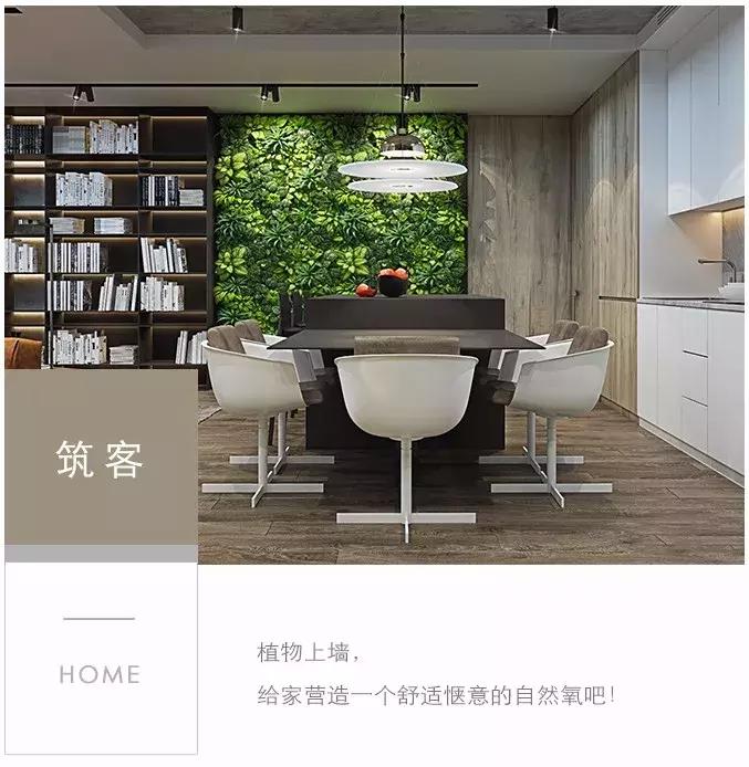 墙上种什么植物最好,景观墙上盆栽什么好看