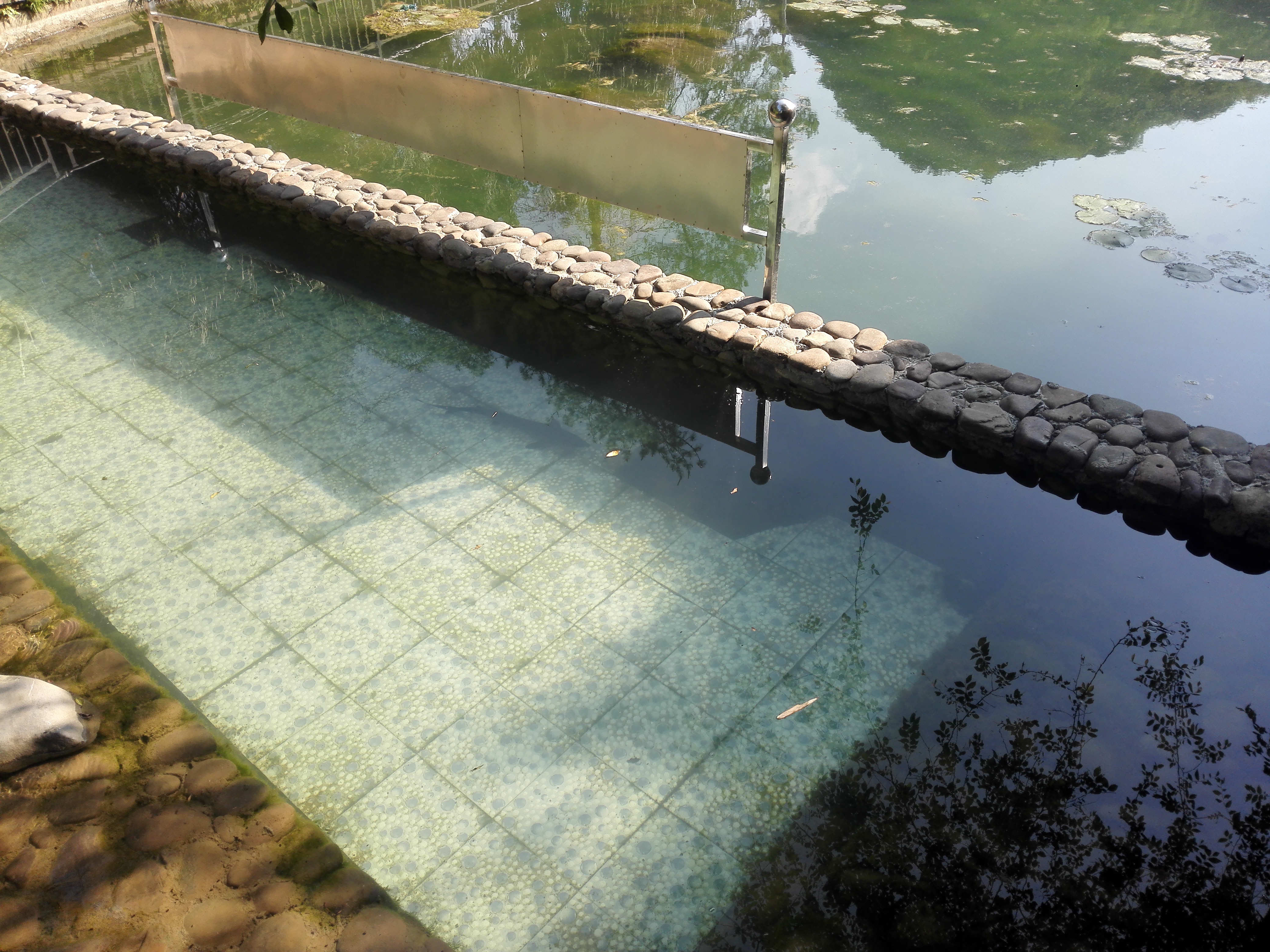 广西全州农庄排名,广西全州县绕村绿岛生态农庄