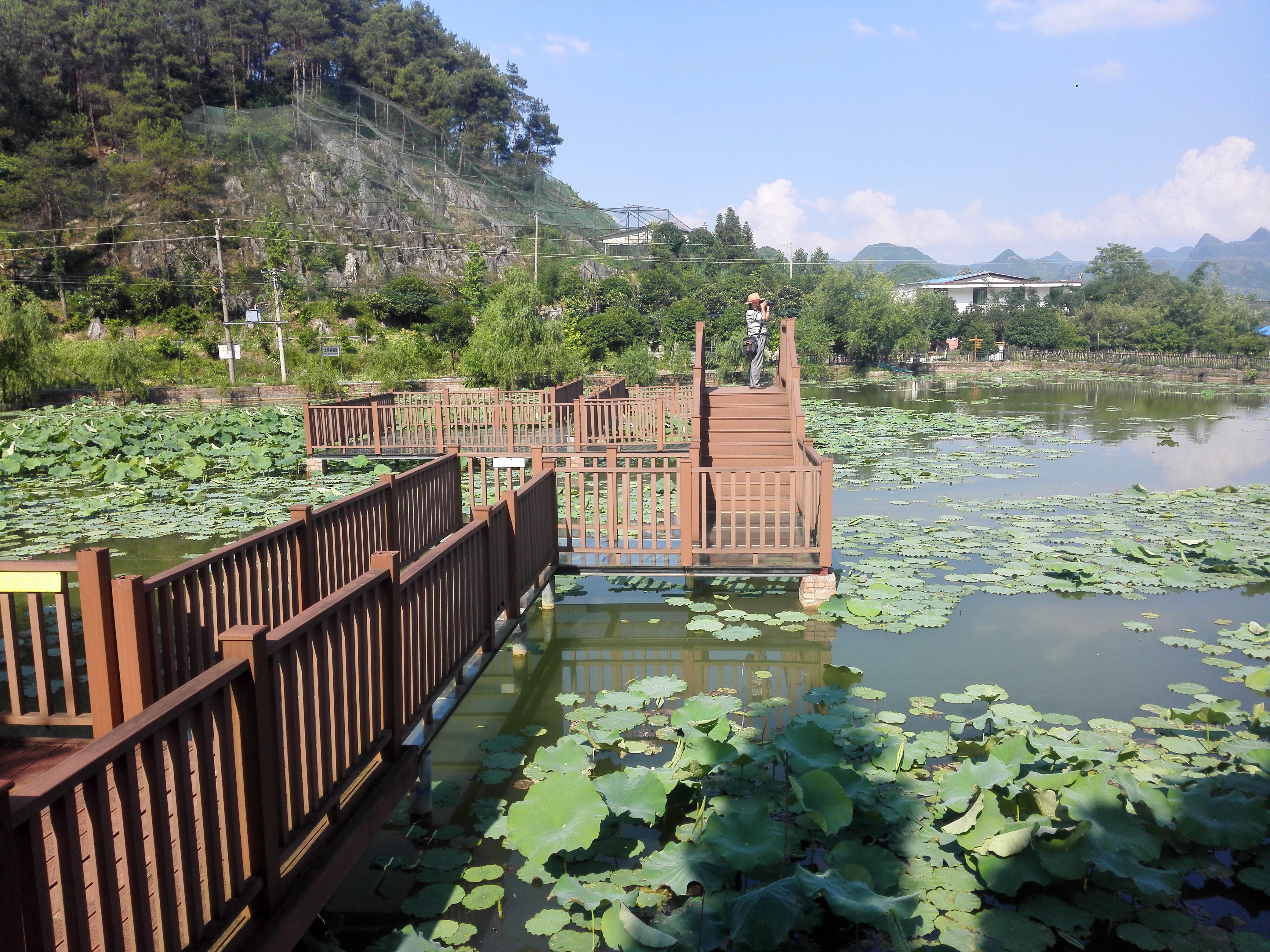 广西全州农庄排名,广西全州县绕村绿岛生态农庄
