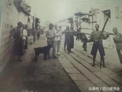 川东邻水猎犬基地,川东猎犬是中华田园犬吗