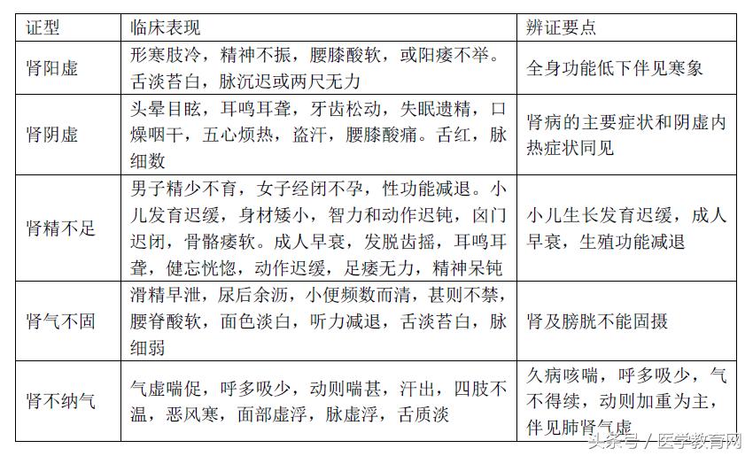 脏腑点穴中医讲解,怎样快速记住脏腑辨证的证名