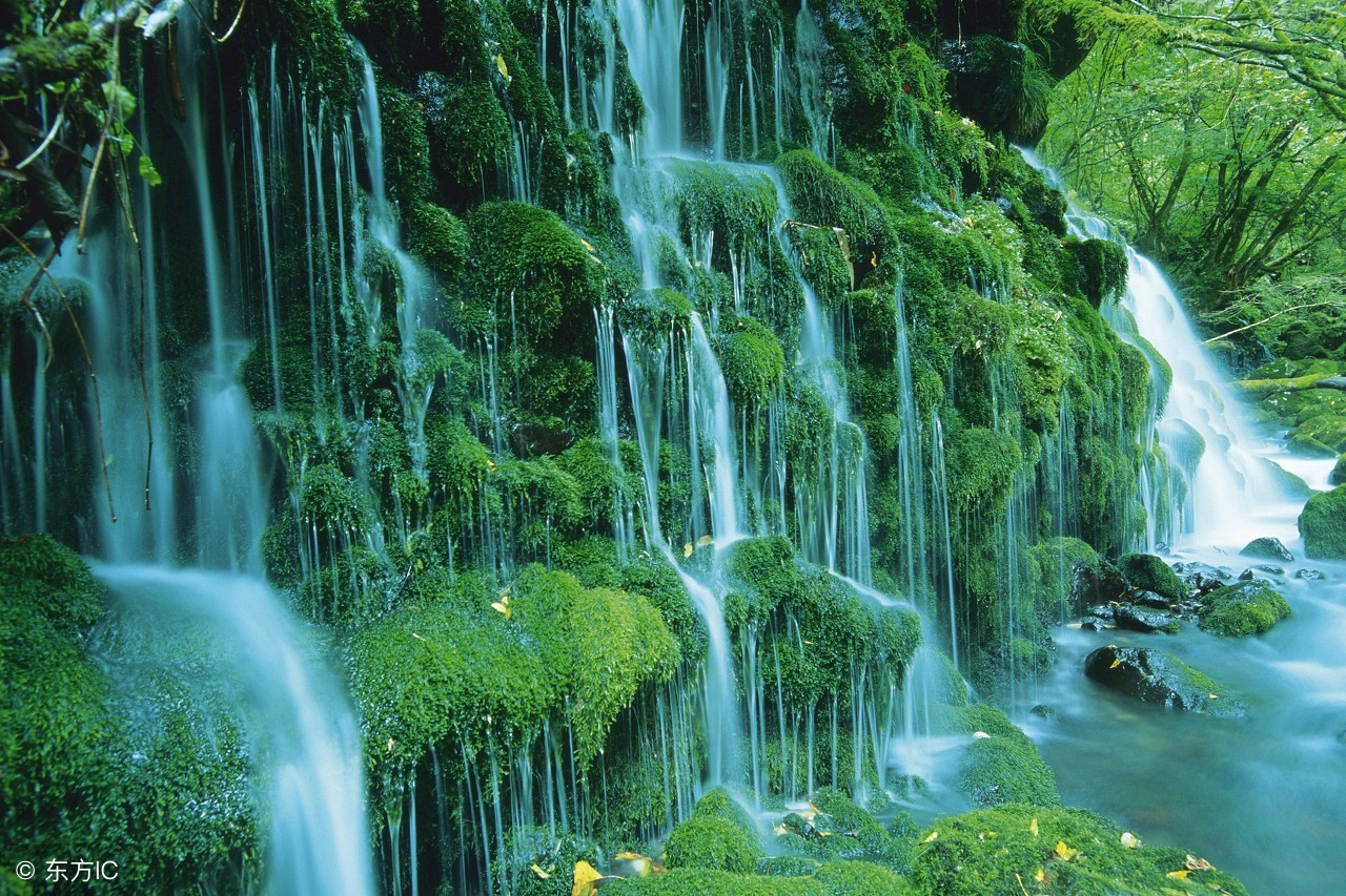 借物喻人是一种常用的写作方法,文学作品里的借物喻人