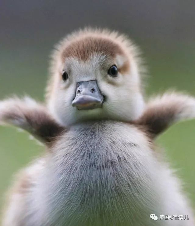 一波强迫症治愈图正在向你袭来，看完神清气爽有木有～