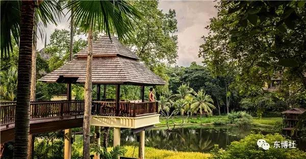 清迈四季酒店摄影,泰国清迈四季酒店