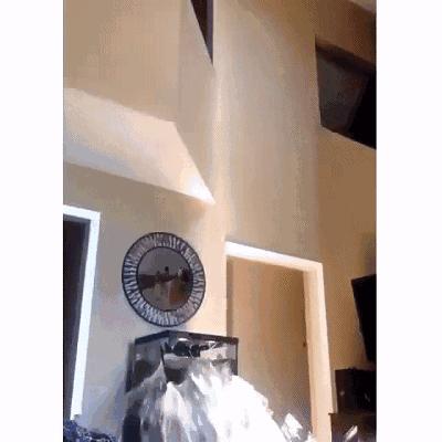 鱼缸爆裂预兆,鱼缸爆裂修复方法