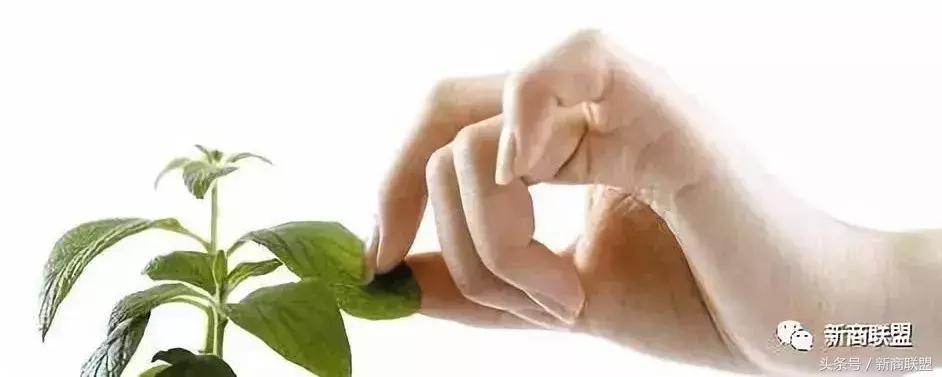 条条大道通罗马：中国民营企业55种融资方式