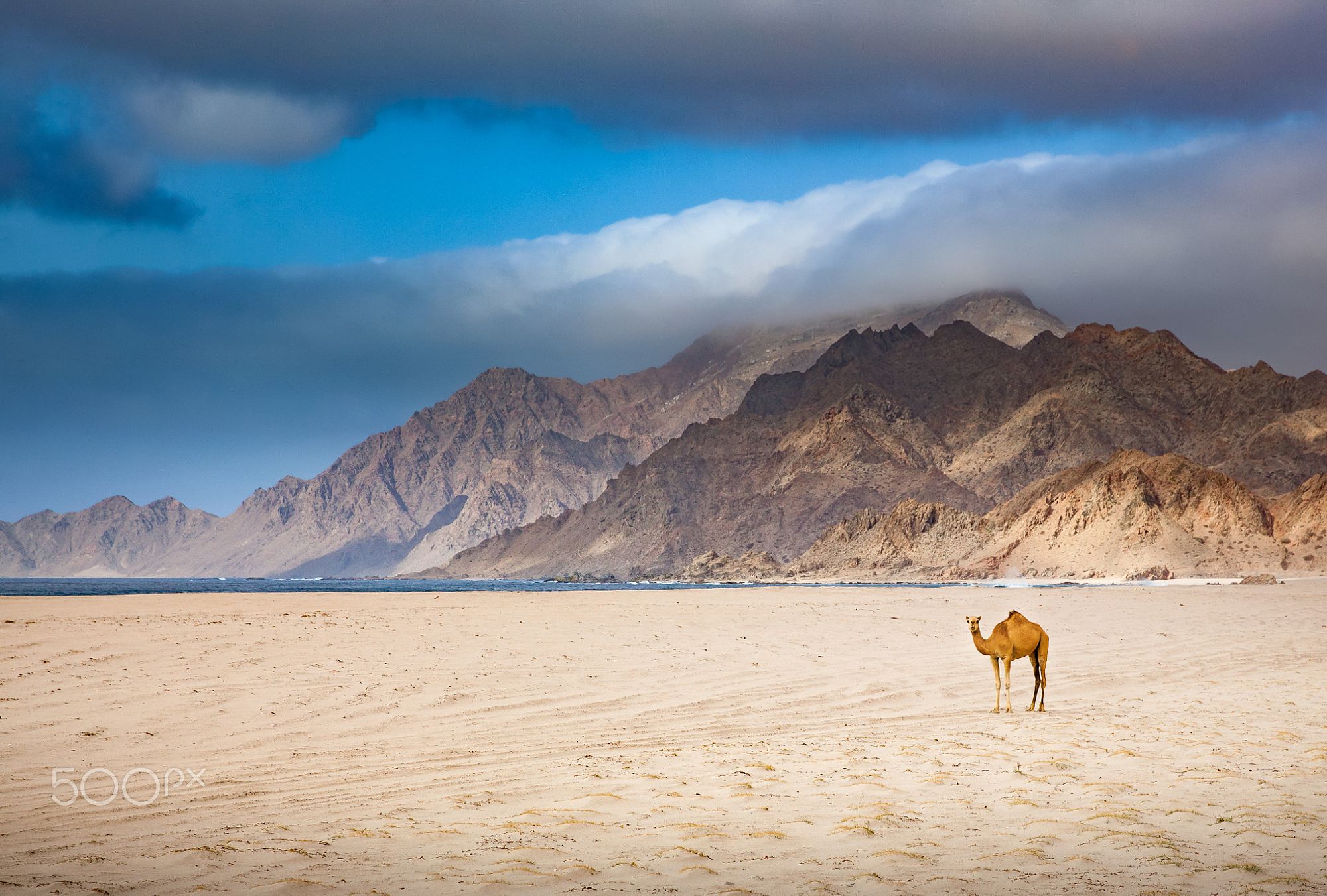 阿联酋穷酋长,阿联酋有哪七个酋长国哪个最穷