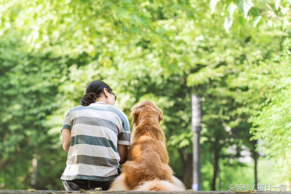 失去了心爱的小动物是种怎样的痛？应该如何走出来？