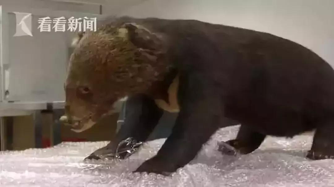 最可怕的代购骗局,代购十大骗局揭秘图