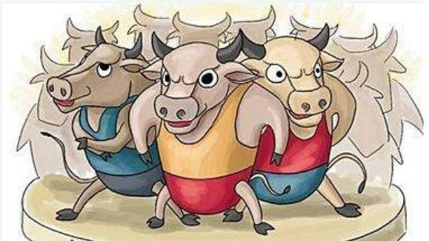 睡前一口气看完系列,神奇的k线形态抓牛股