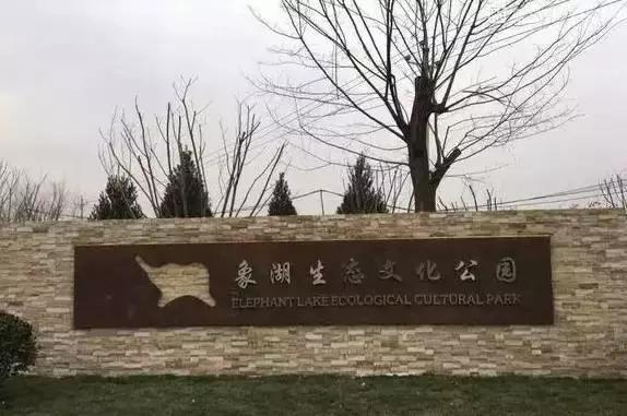 郑州有什么好玩的地方免费开放,郑州好玩的免费景点