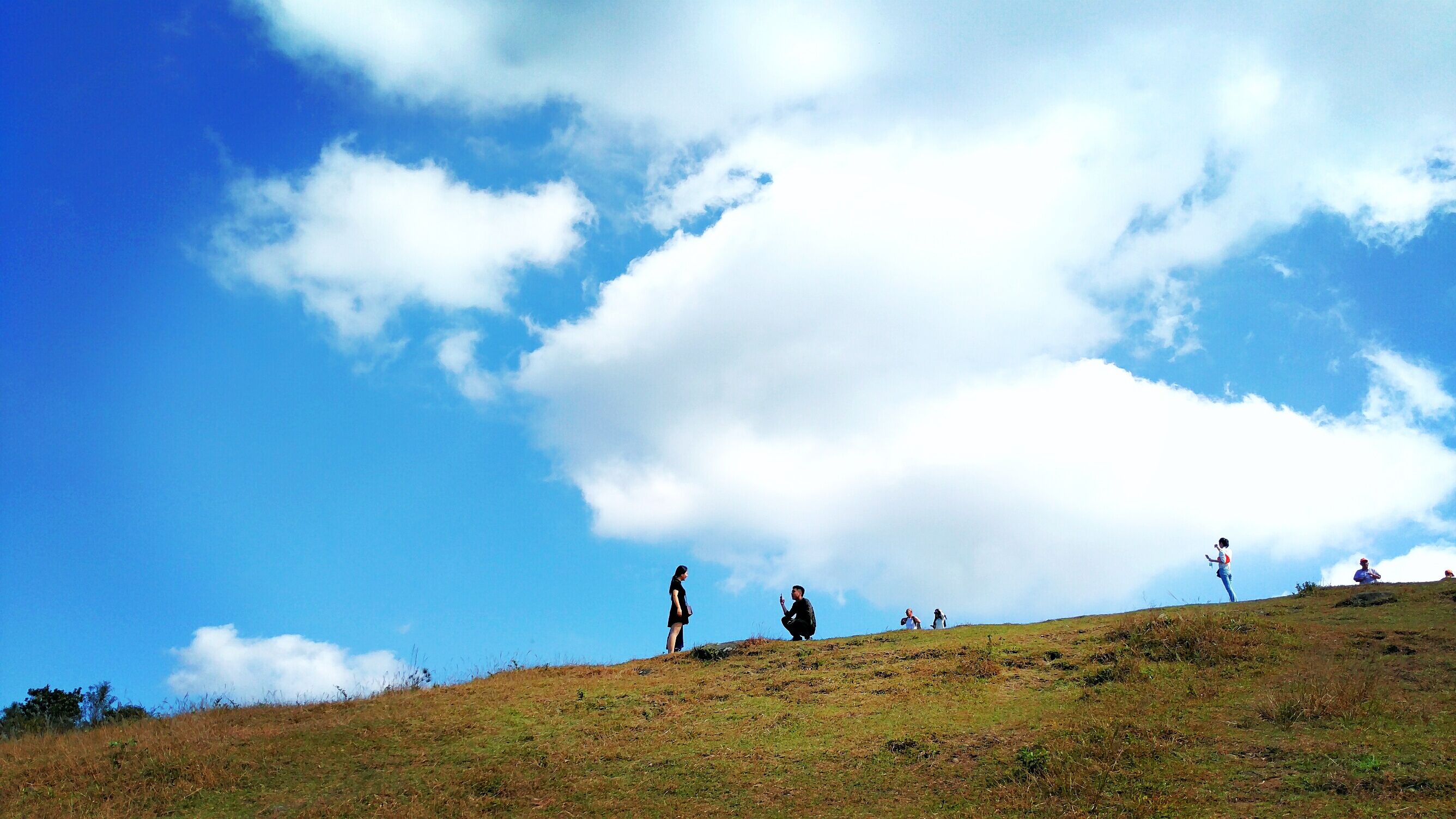 福建儿时的记忆山上的野果,福建山上秋天野果