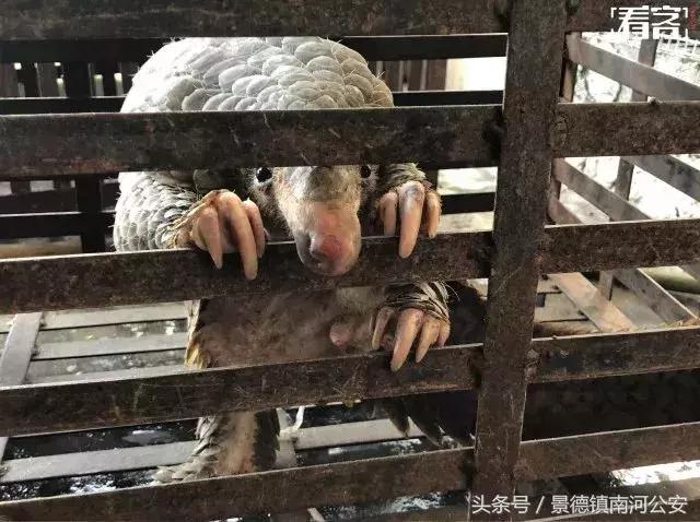 代购十大骗局揭秘图,真正的代购骗局