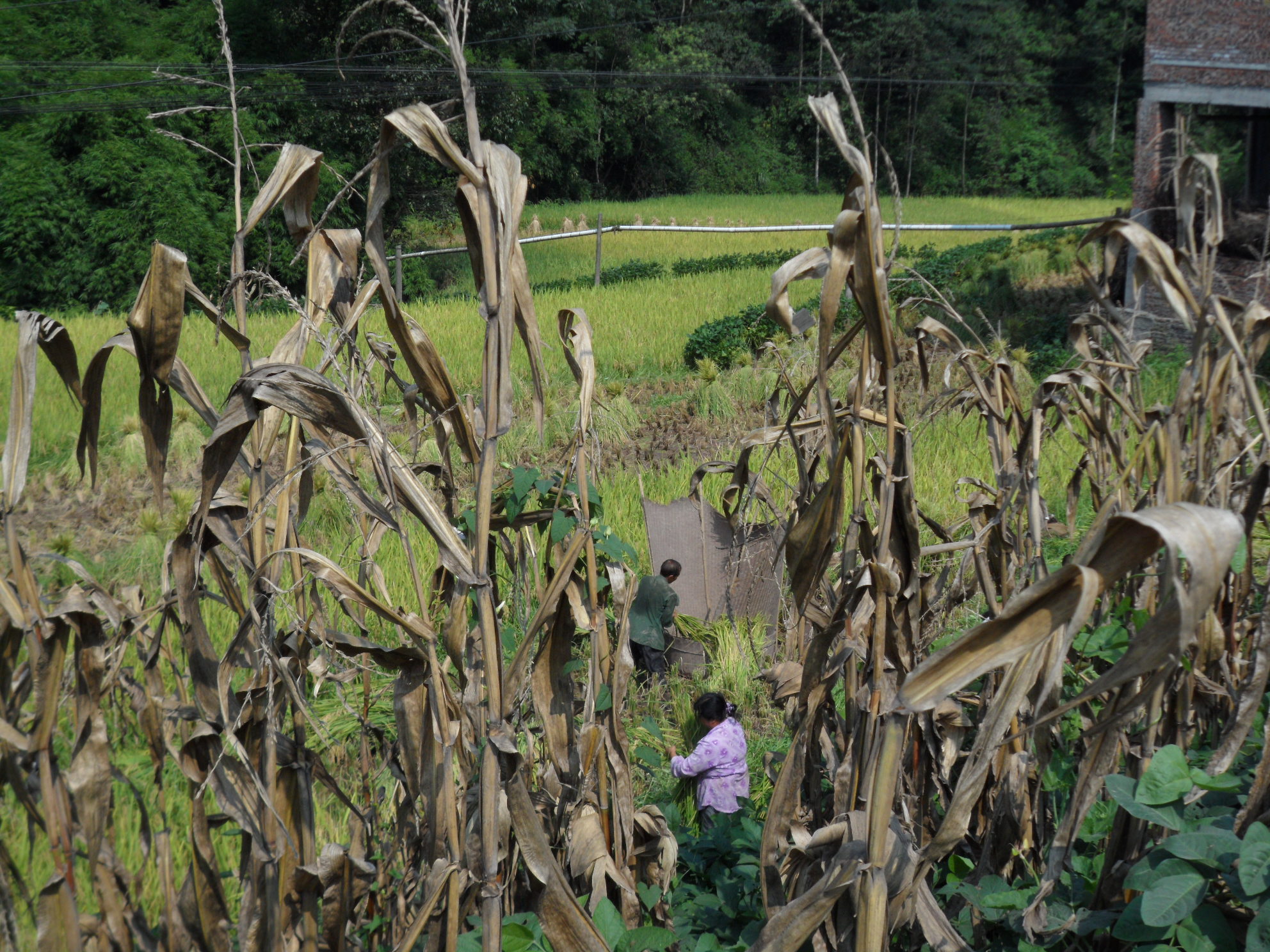 徒步旅行记录全集,乐山徒步旅行记