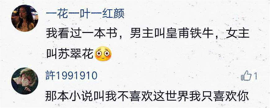 夏碗面,你见过哪些奇葩的小说名字