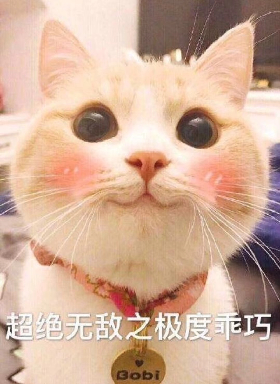 平价且好用的防晒,学生党防晒推荐平价