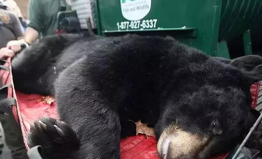 代购究竟有多暴利,代购骗局揭秘朋友圈