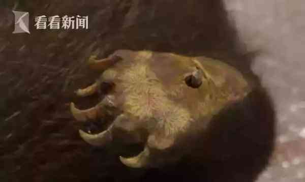 朋友圈里卖低价服装的真相,朋友圈代购低价套路