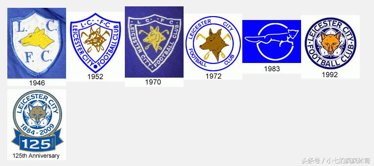 英超各队队徽视频,2018-2019英超球队队徽