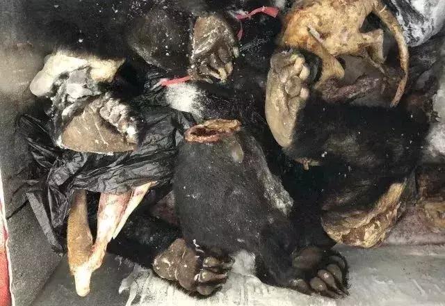 海外代购的暴利秘密 (代购圈乱象)