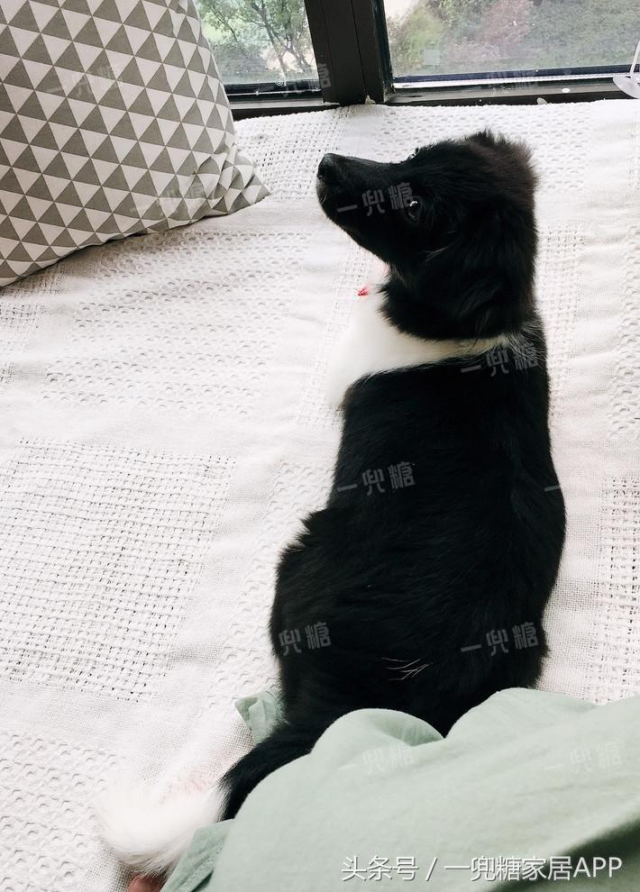 18平米单间改一厨一卫一室一厅,18平方改一室一厅