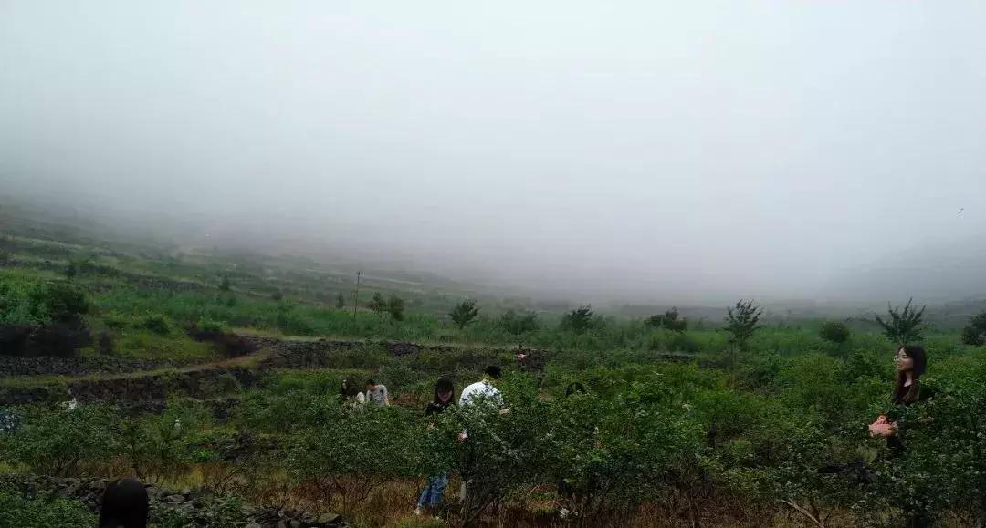 提升团队战斗力的团建活动,团建增强凝聚力