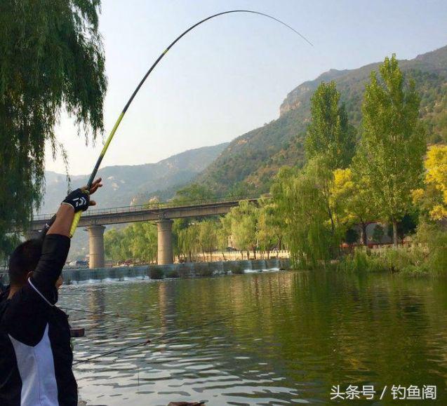 鱼竿越贵越能钓大鱼吗,鱼竿是不是越便宜越重