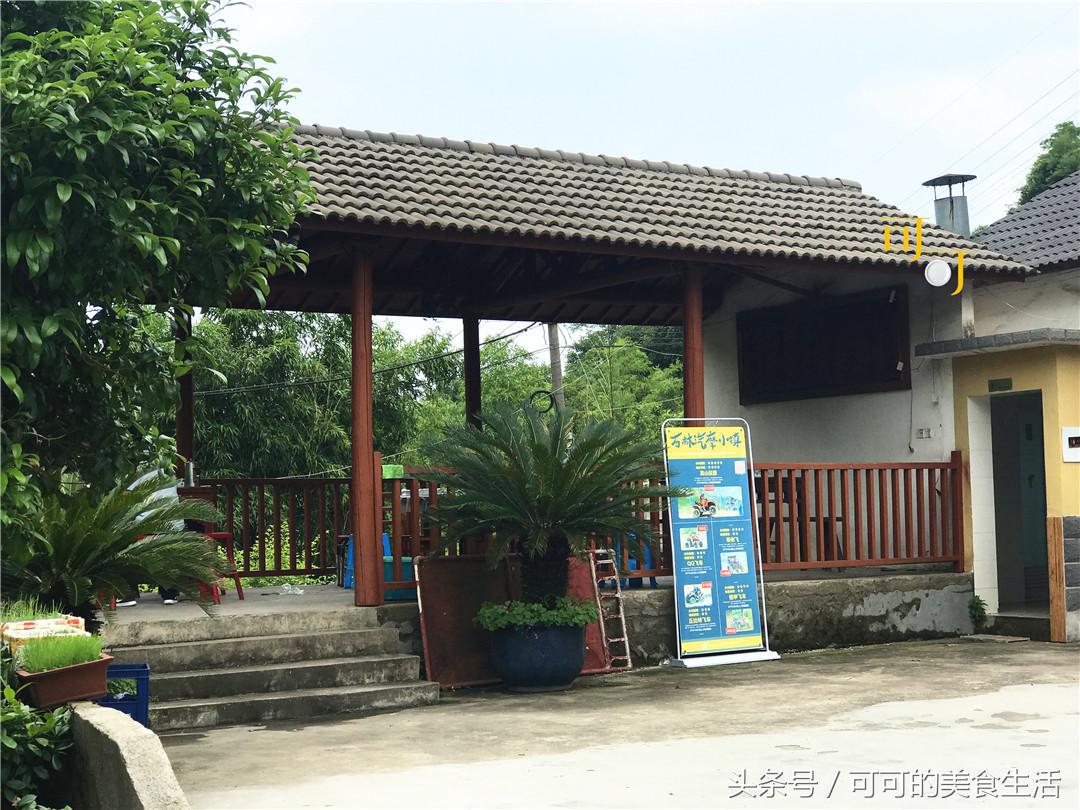 在新安江镇的农家乐，四个菜200元，第一次吃到新鲜河蚌