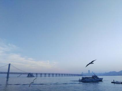 大连旅游攻略必去景点,大连一日游必去十大景点