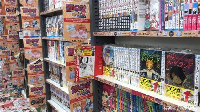 为什么秋叶原是动漫之城,为什么秋叶原那么贵