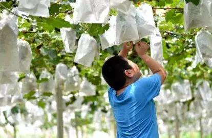 镇江跟青岛哪个城市比较好,镇江市在哪个城市