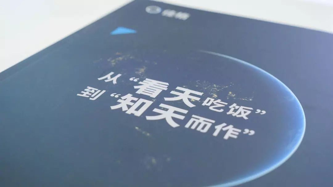 人工智能与农林大数据,人工智能大数据科技