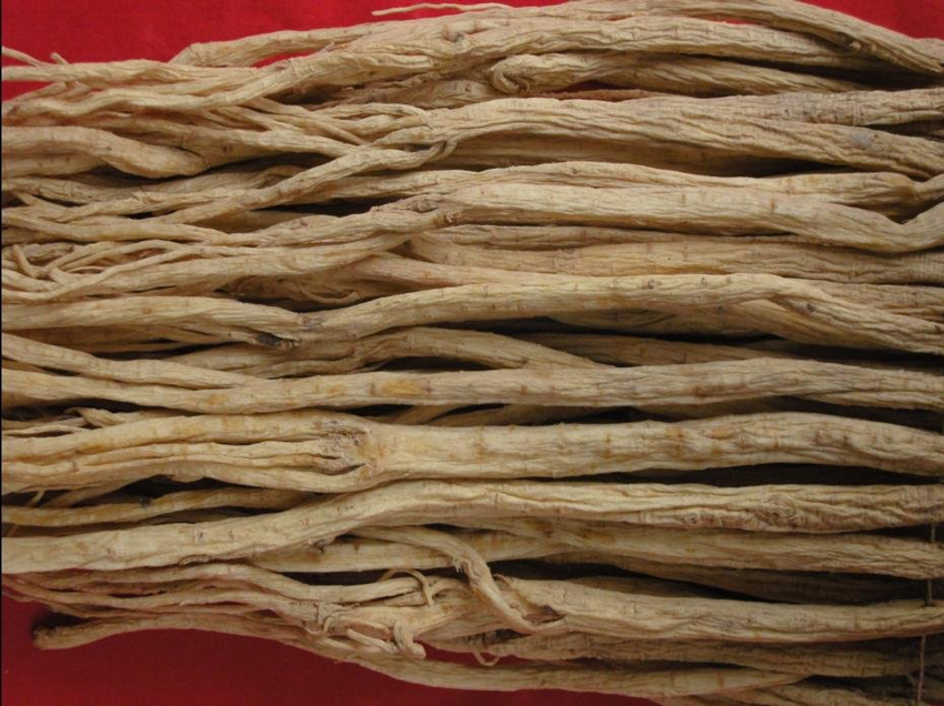 黄芪被历代医家公认为补气圣药,黄芪补气中药配方大全