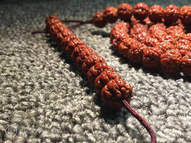 小金刚菩提如何快速清理干净,小金刚快速深度清理方法