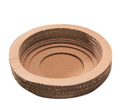 超级推荐的猫,推荐猫最爱吃的东西还很便宜