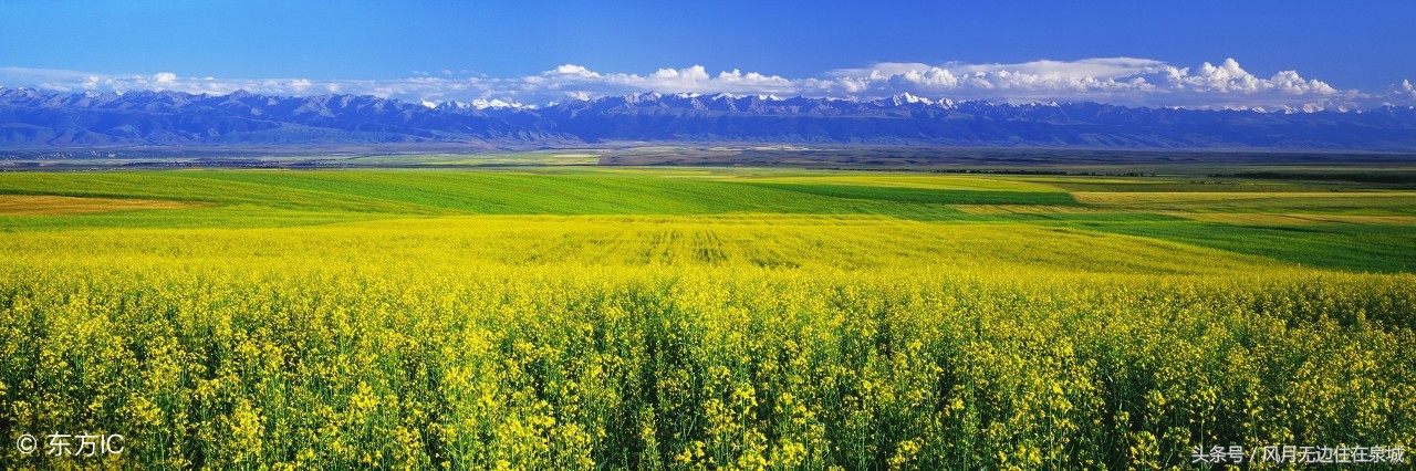 蒙古马和套马图片,蒙古套马绳子教学