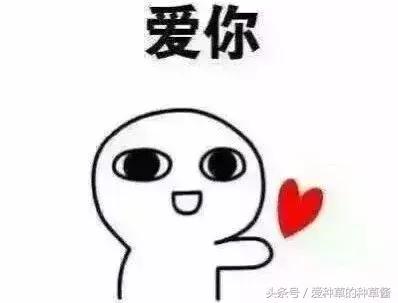 洗面奶到底哪款好用又实惠,哪款洗面奶好用又不贵