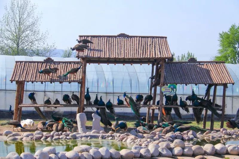 亲自然亲子户外活动太原,太原六一带孩子去哪里玩比较好