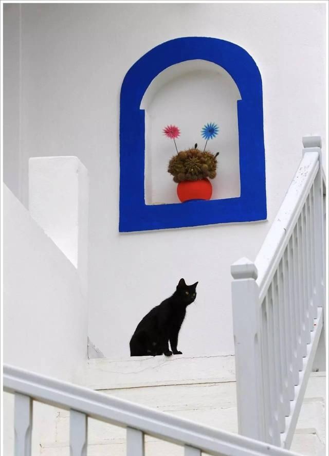 出口转内销狗粮,出口狗粮走什么贸易方式划算