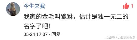 你给宠物起过哪些奇葩的名字？盘点那些让人印象深刻的宠物名字！
