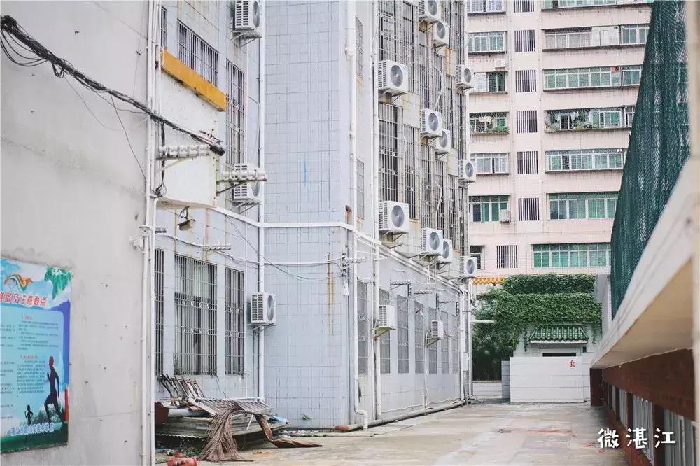 再见了四年级,再见了四年级的时光