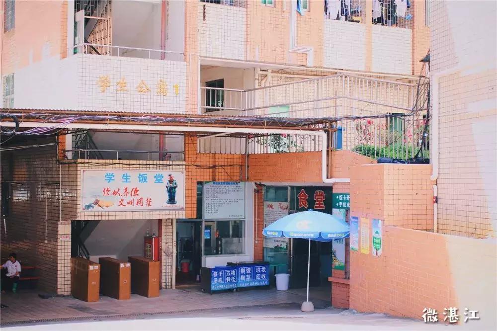 再见了四年级,再见了四年级的时光