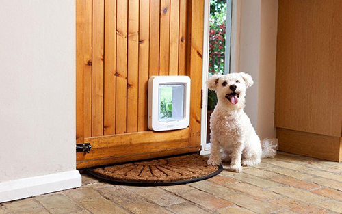 英语单词let的意思和词性,let短语归纳