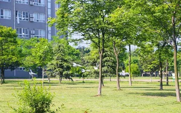 阜阳五中在哪个位置,阜阳五中属于什么档次