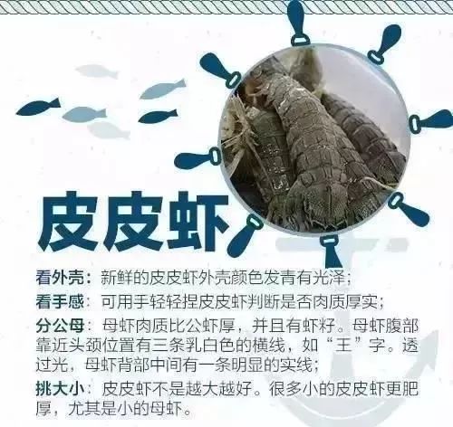 海鲜美食分享吃货日常,美食分享吃海鲜视频