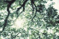 强光拍不出好照片？学会这几点一切皆有可能！