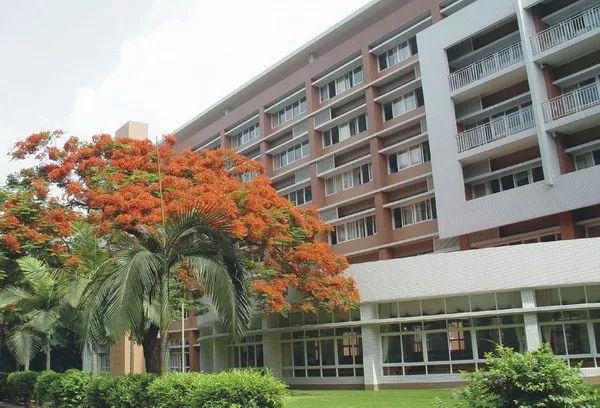 广州五中为什么进步这么快,广州五中学校有多好