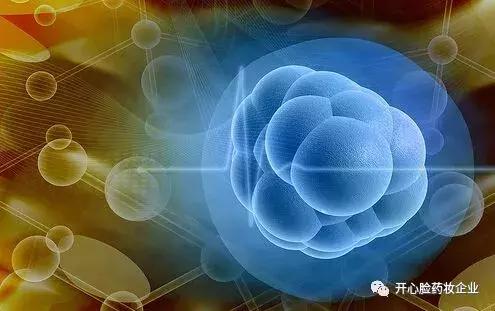 bio皮肤管理,草本皮肤护理