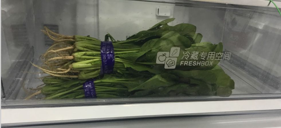 全温区冰箱,统帅415冰箱的简介